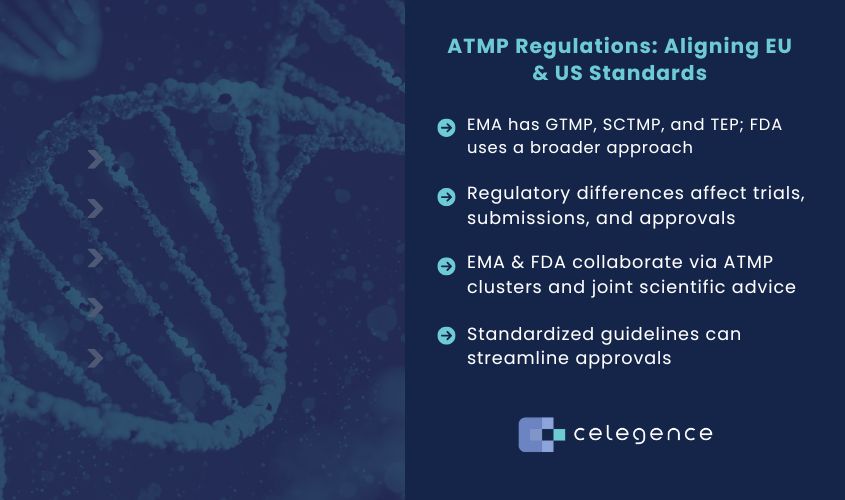 ATMP Regulations Aligning EU & US Standards